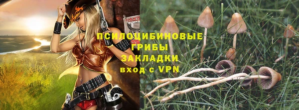 2c-b Алексин