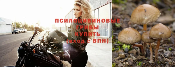прущие крисы Алзамай