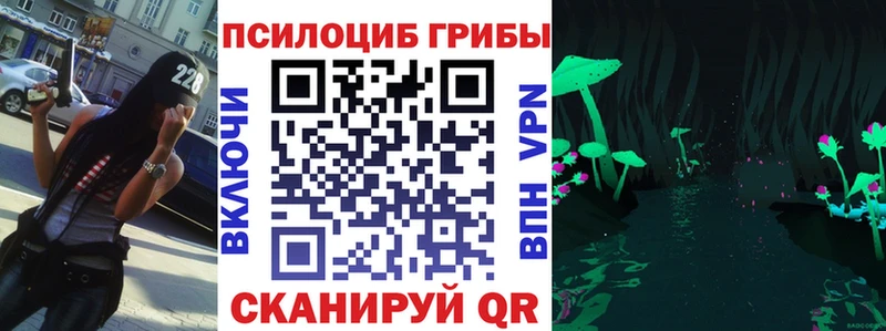 kraken маркетплейс  Сатка  Галлюциногенные грибы Psilocybine cubensis  наркошоп 